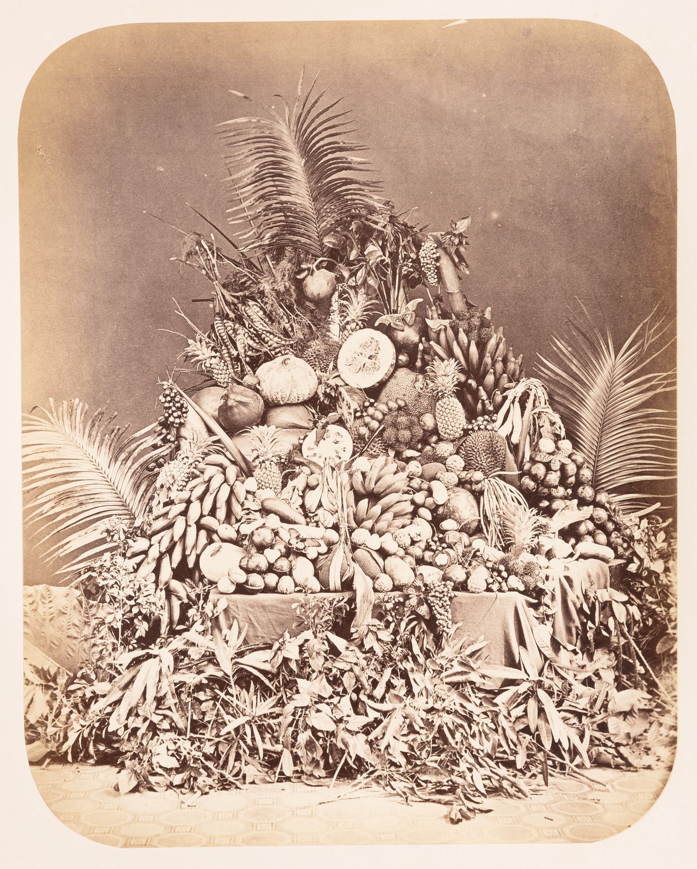 View of an arrangement of fruit and plants, Dutch East Indies (now Indonesia)