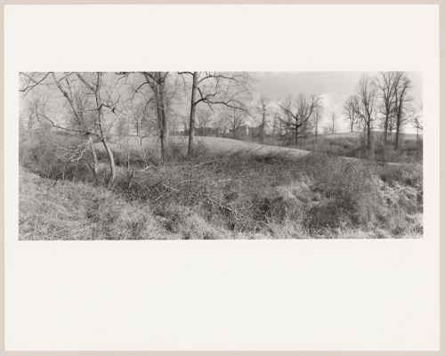 View from the Deer Park towards the house, Biltmore, The George W. Vanderbilt Estate, Asheville, North Carolina
