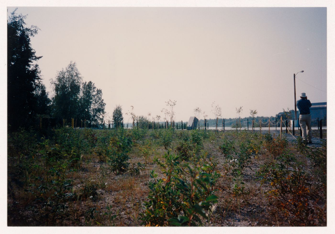 View of landscape regeneration, Northwest Territories Legislative Assembly Building, Yellowknife, Northwest Territories