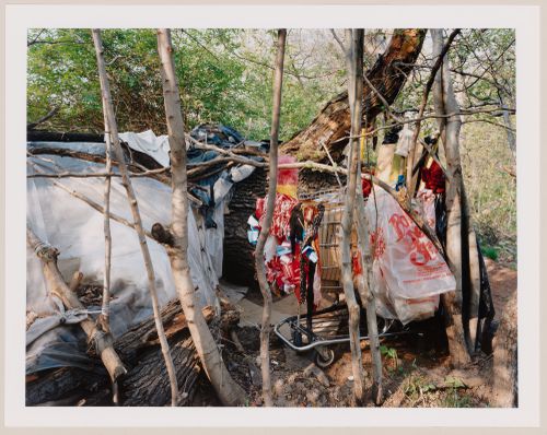 Viewing Olmsted: View of Homeless Shelter, near the Lullwater Bridge, Prospect Park, Brooklyn, New York