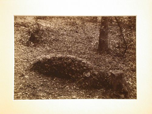 View of St. Anns Hill, Monks Grave, Chertsey, England
