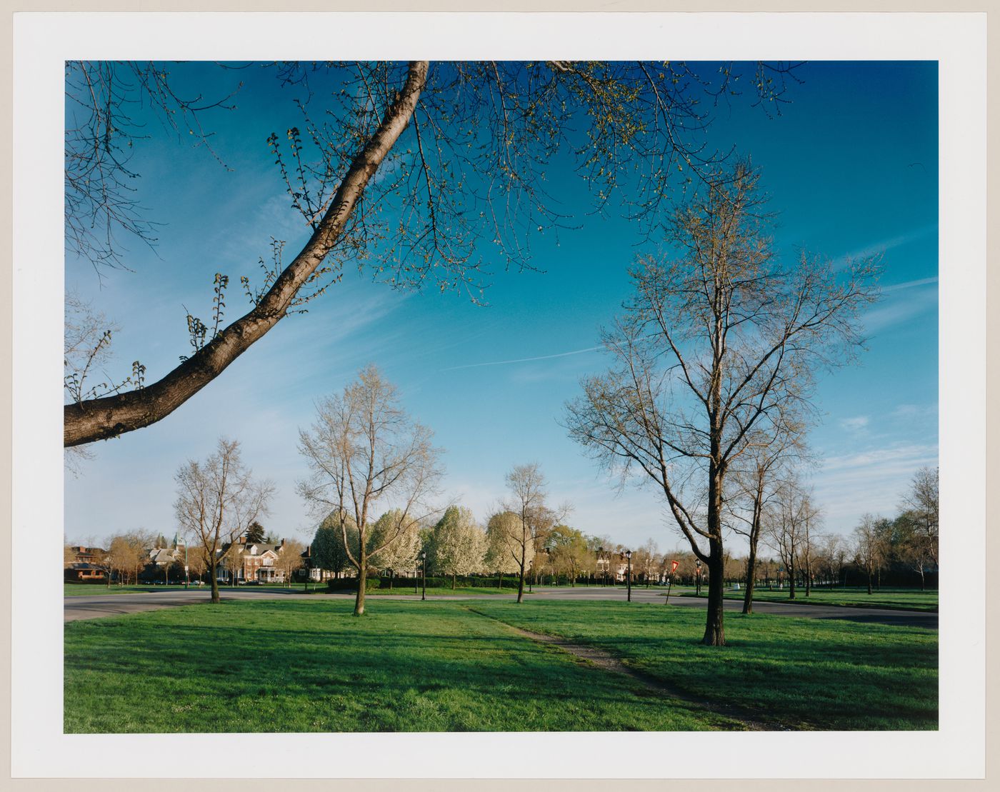 Viewing Olmsted: View of Lincoln Parkway, Buffalo, New York