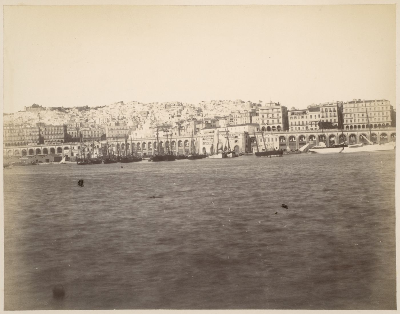 Algiers, from the harbour, Morocco