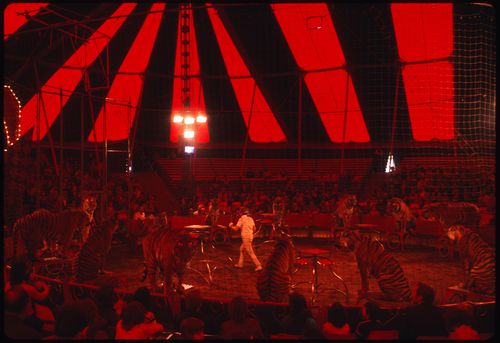 Circus, Kassel, Germany