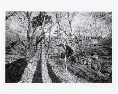 Prospect Park, Brooklyn, New York City, New York