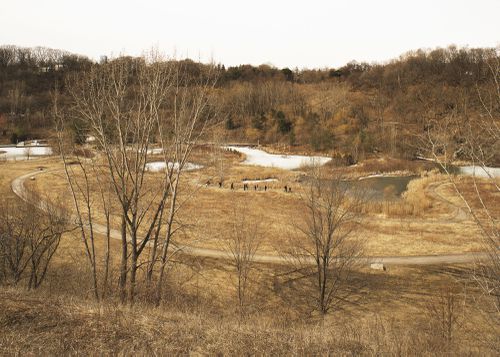 An Enduring Wilderness: Hikers, Don Valley Brick Works Park, Toronto