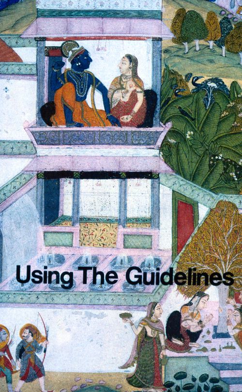 Title slide "Using the Guidelines" section of "Package 1: The Design Guidelines" for the Human Settlement Training Packages