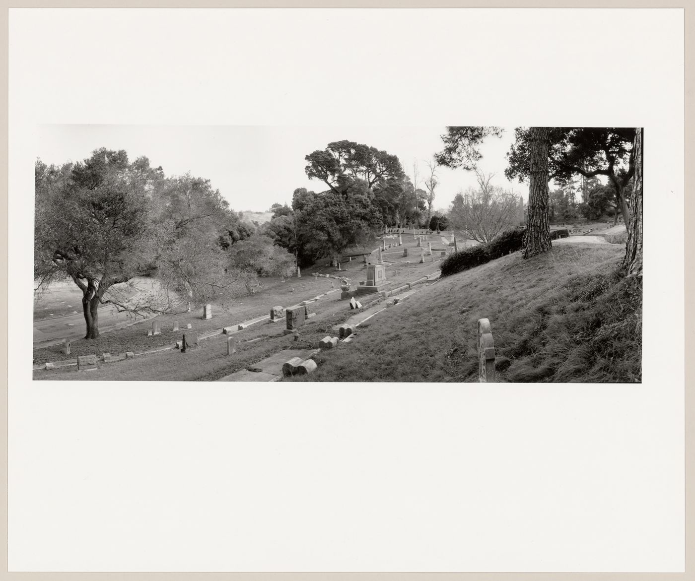 View across the cemetery from below Upper Cemetery Drive, Mountain View Cemetery, Oakland, California