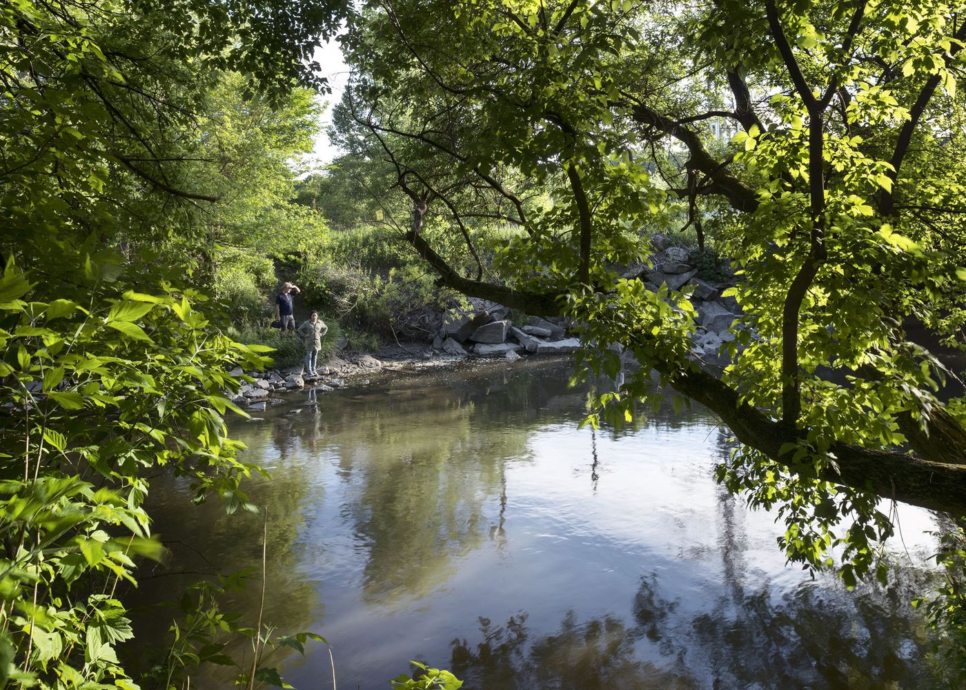An Enduring Wilderness: Don River, Crothers Woods, Toronto
