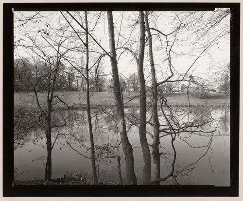 Beside the pond, Cherokee Park, Louisville, Kentucky