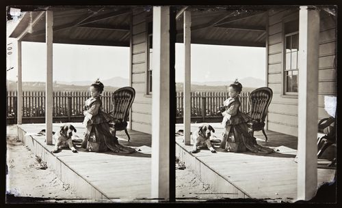 Stereograph of young girl and dog on porch, California?, United States of America