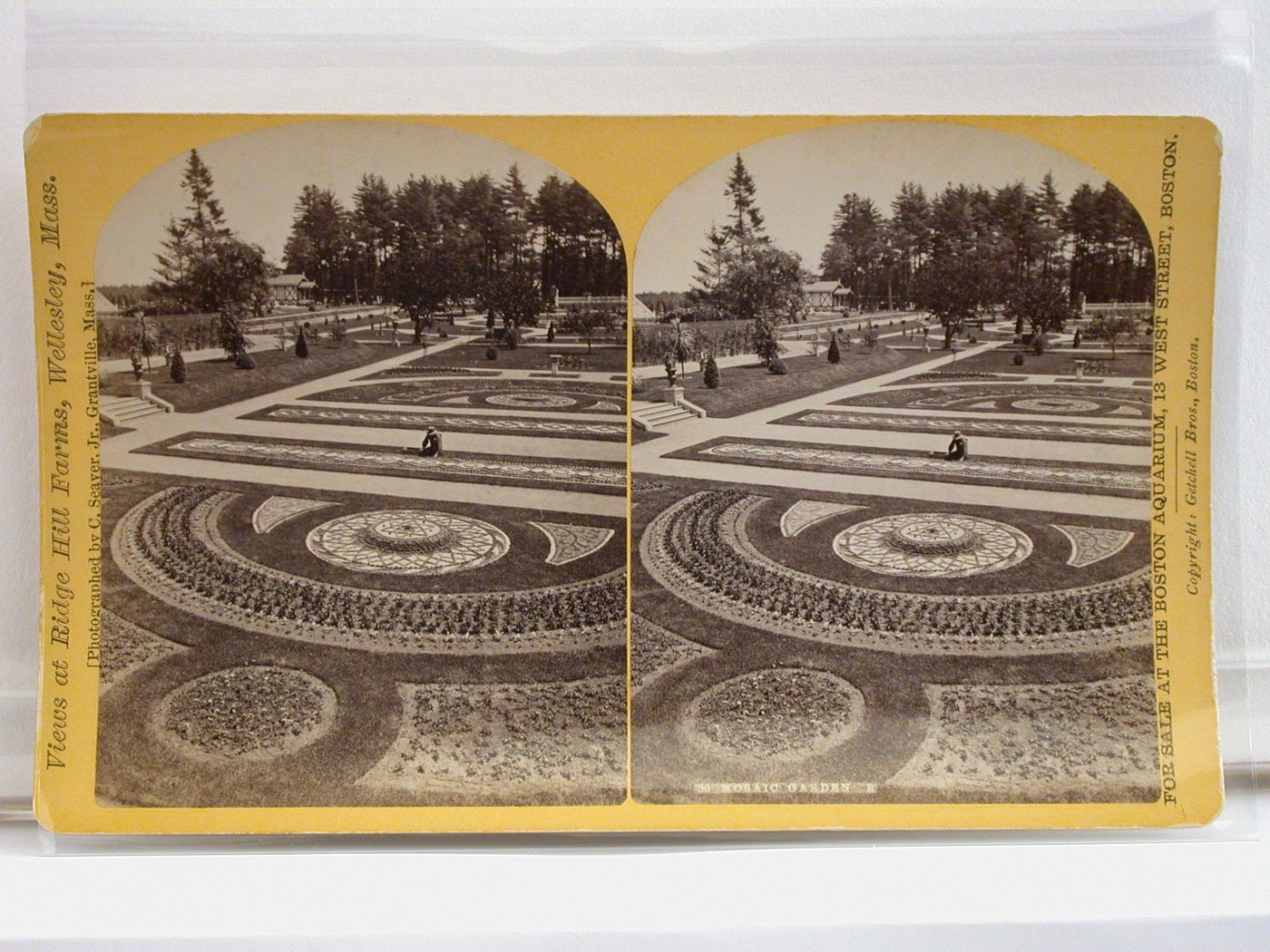 39 Mosaic Gardens B