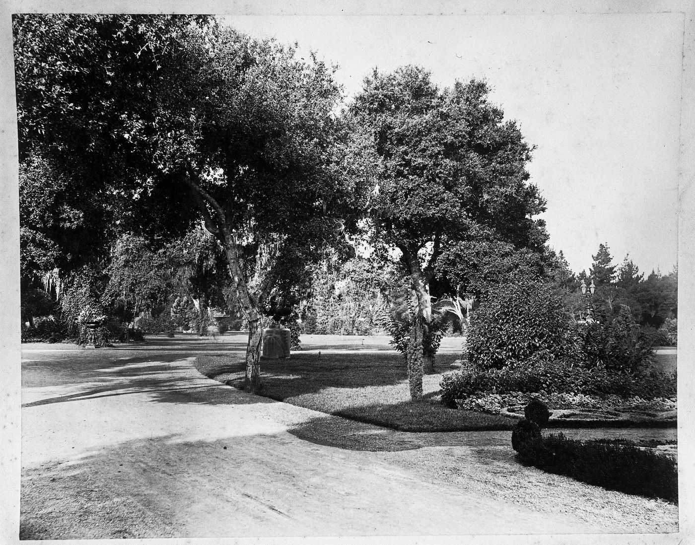 View of lawn and curve of driveway, Linden Towers, James Clair Flood Estate, Atherton, California