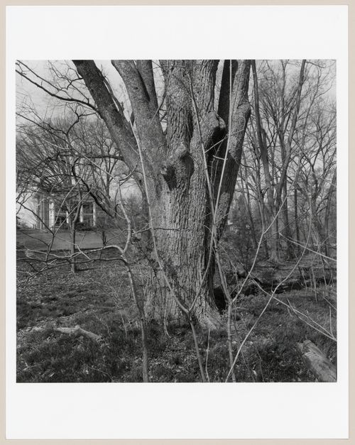 Cherokee Park, Louisville, Kentucky