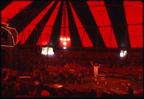 Circus, Kassel, Germany