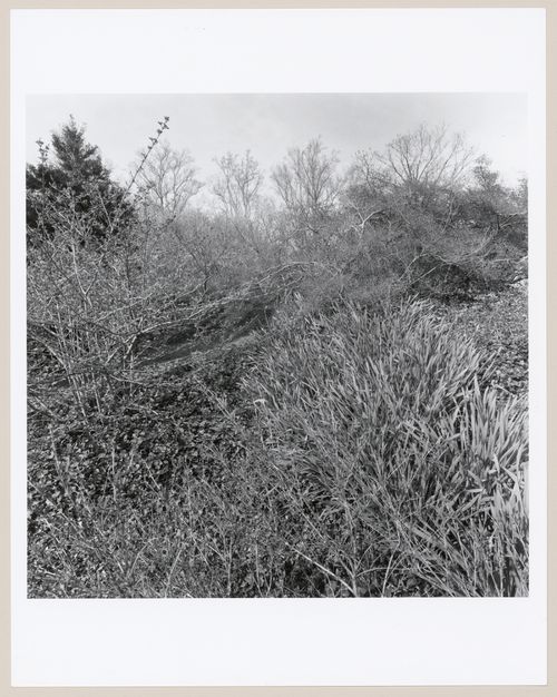 "Biltmore", The George Vanderbilt Estate, Asheville, North Carolina