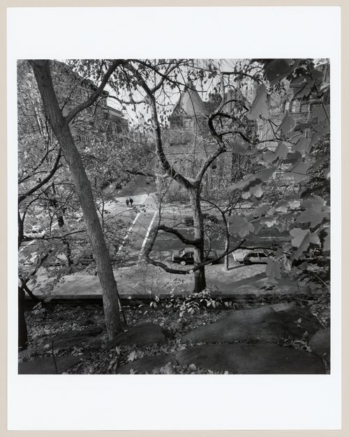 Central Park, New York, New York