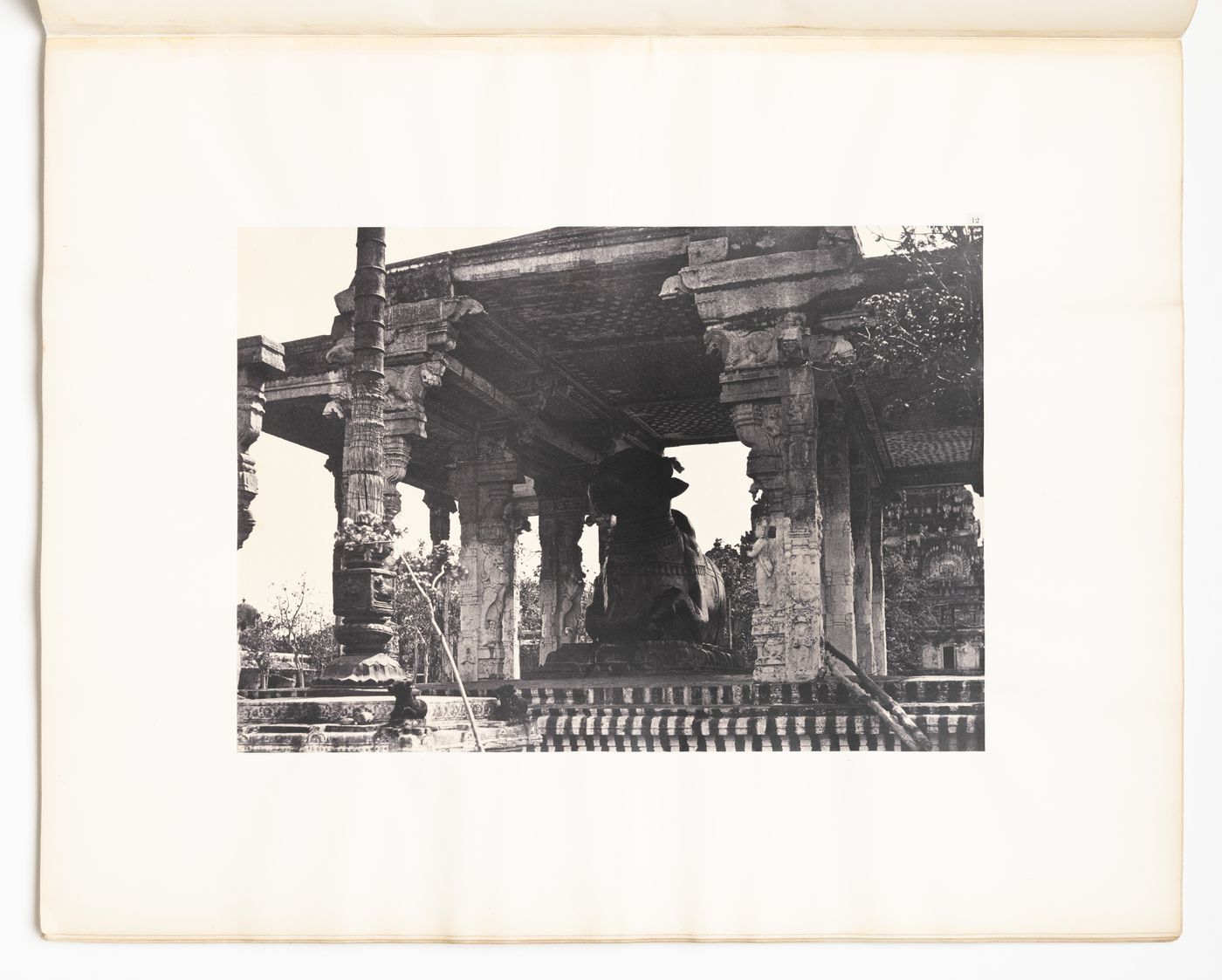 Tanjore. Great pagoda, great bull front view.