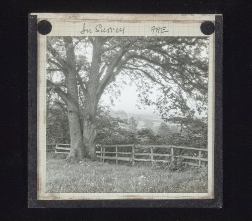 View of Surrey, England