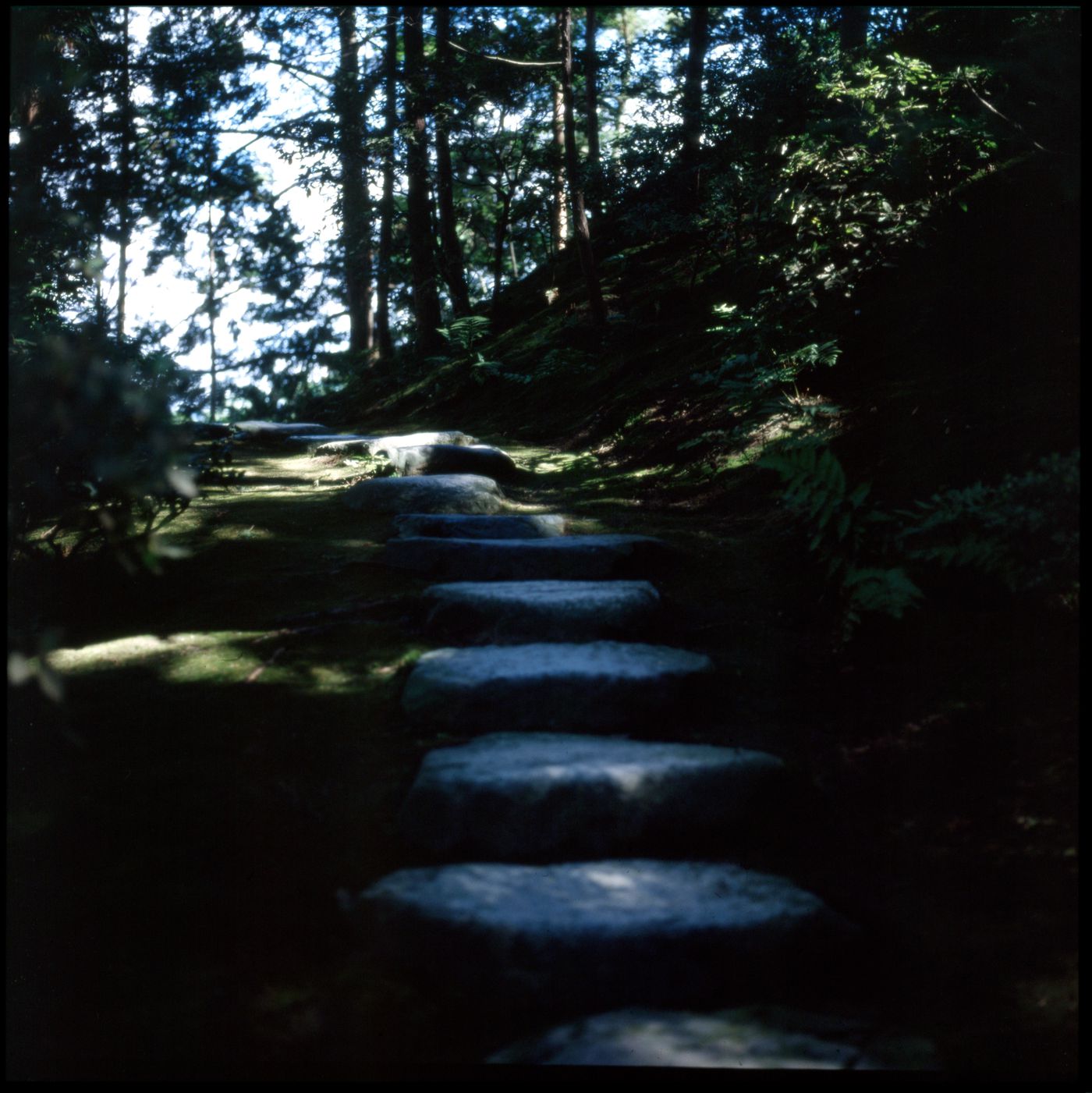 Stepping stone path, Katsura Imperial Villa, Kyoto, Japan