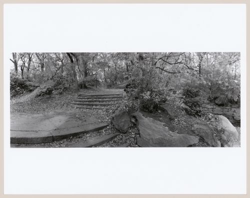 Central Park, New York, New York