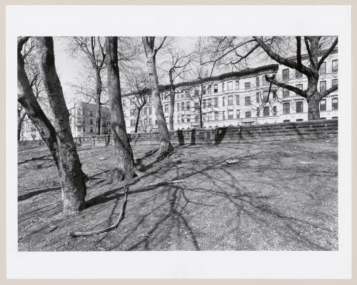 Prospect Park, Brooklyn, New York City, New York