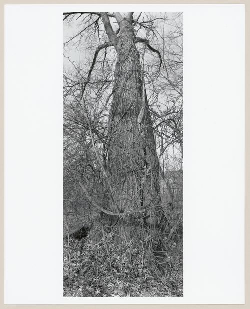 Shawnee Park, Louisville, Kentucky