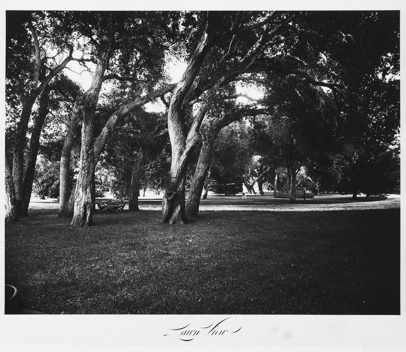 View of the estate grounds, Thurlow Lodge, Menlo Park, California