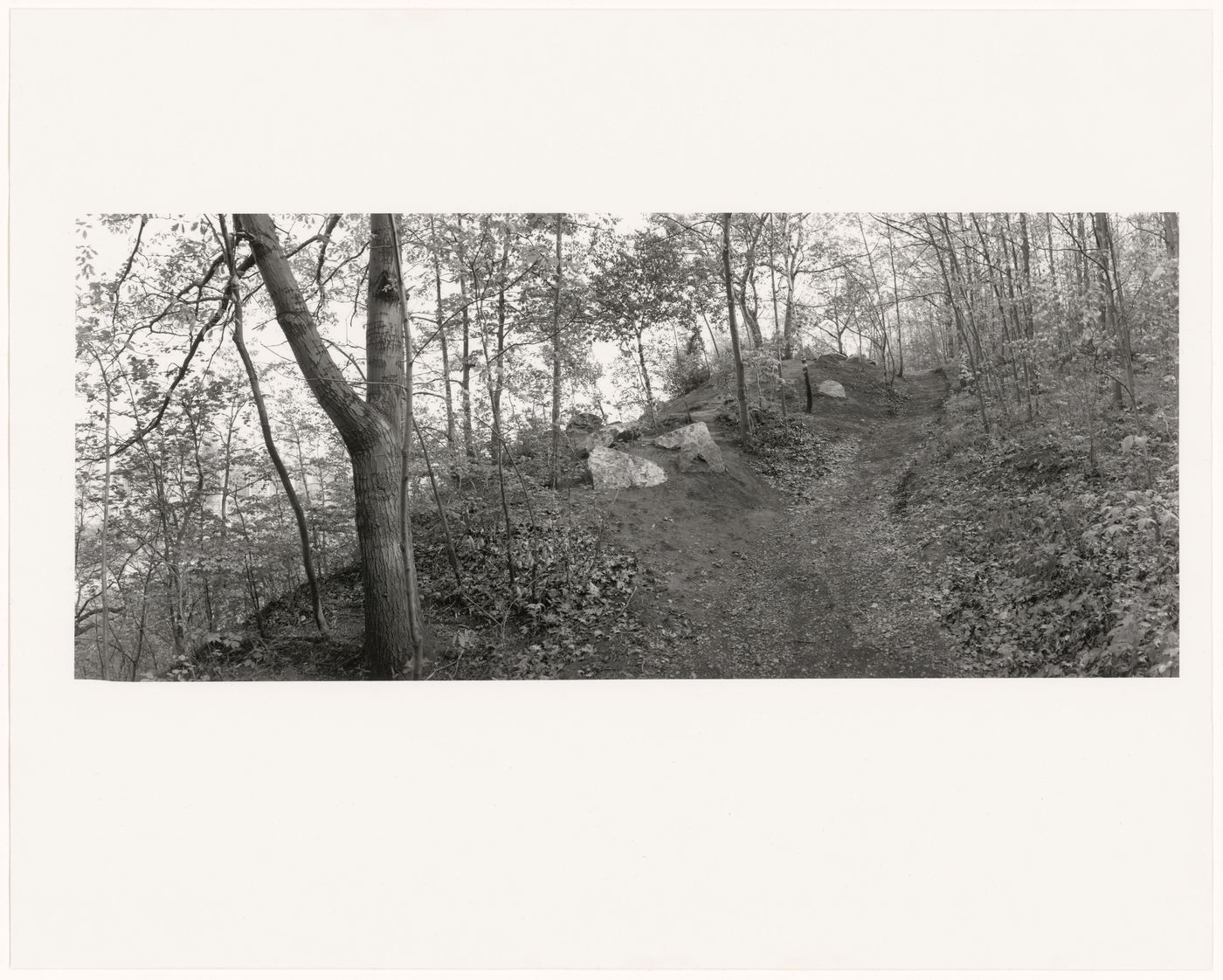 Mount Royal Park, Montréal, Québec, 1994
