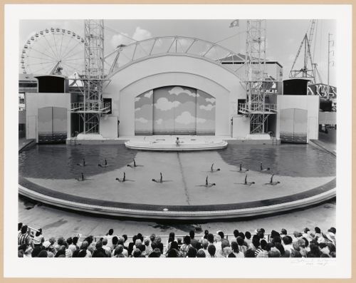 View of the Aquacade showing a synchronized swimming routine underway, Louisiana World Exposition, New Orleans