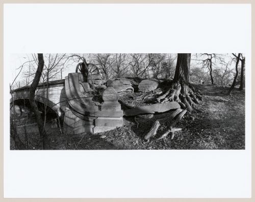 Central Park, New York, New York