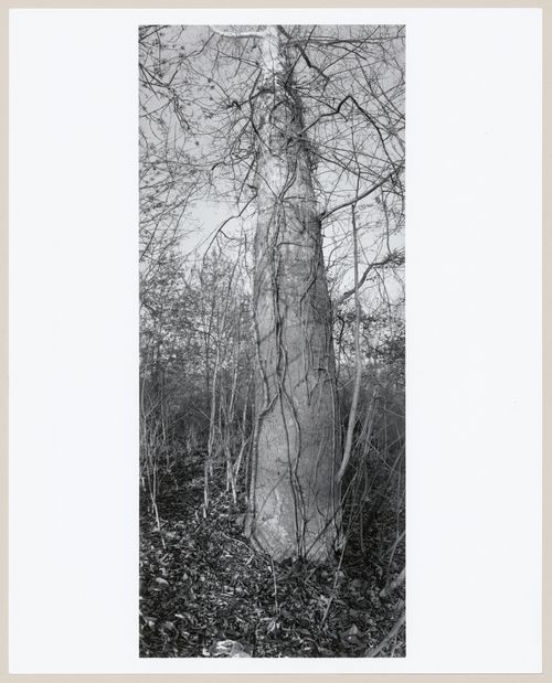 Shawnee Park, Louisville, Kentucky