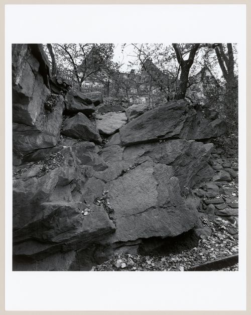 Central Park, New York, New York