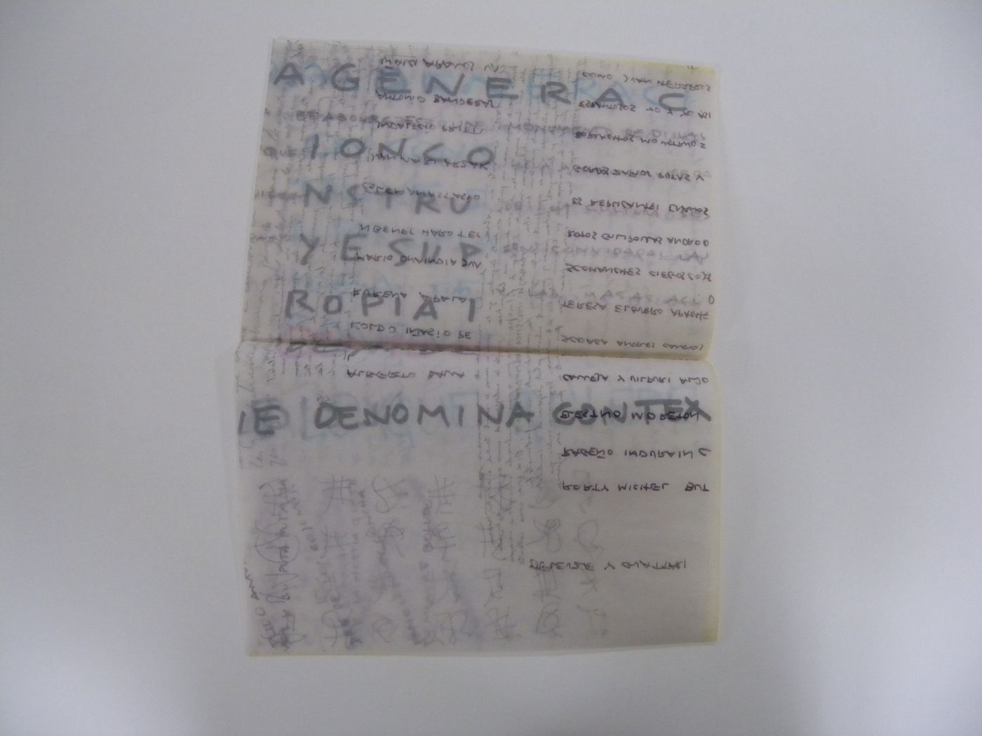 Textual record, Puerto Málaga, Spain