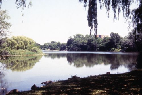Slide of lake and park for Olmsted: L'origine del parco urbano e del parco naturale contemporaneo
