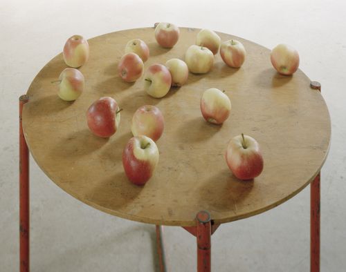 Questioning Pictures: Photograph of Nature Morta and MR Table by Ludwig Mies van der Rohe for Thonet, 1935