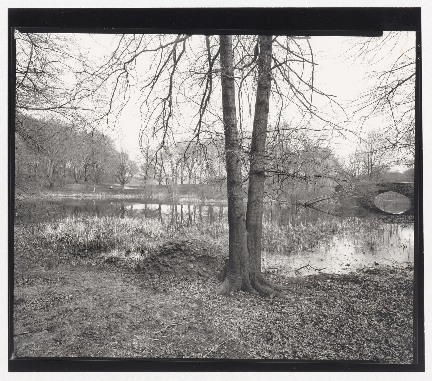 Scarboro Pond, Franklin Park, Boston, Massachusetts