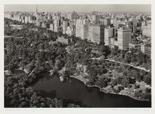 Central Park & Fifth Avenue
