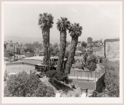 View of Colonia Libertad with trees and houses in the foreground and showing a partial view of the United States-Mexico border fence in the centre right, San Diego County, California, United States, and Colonia Libertad, Tijuana, Baja California, Mexico