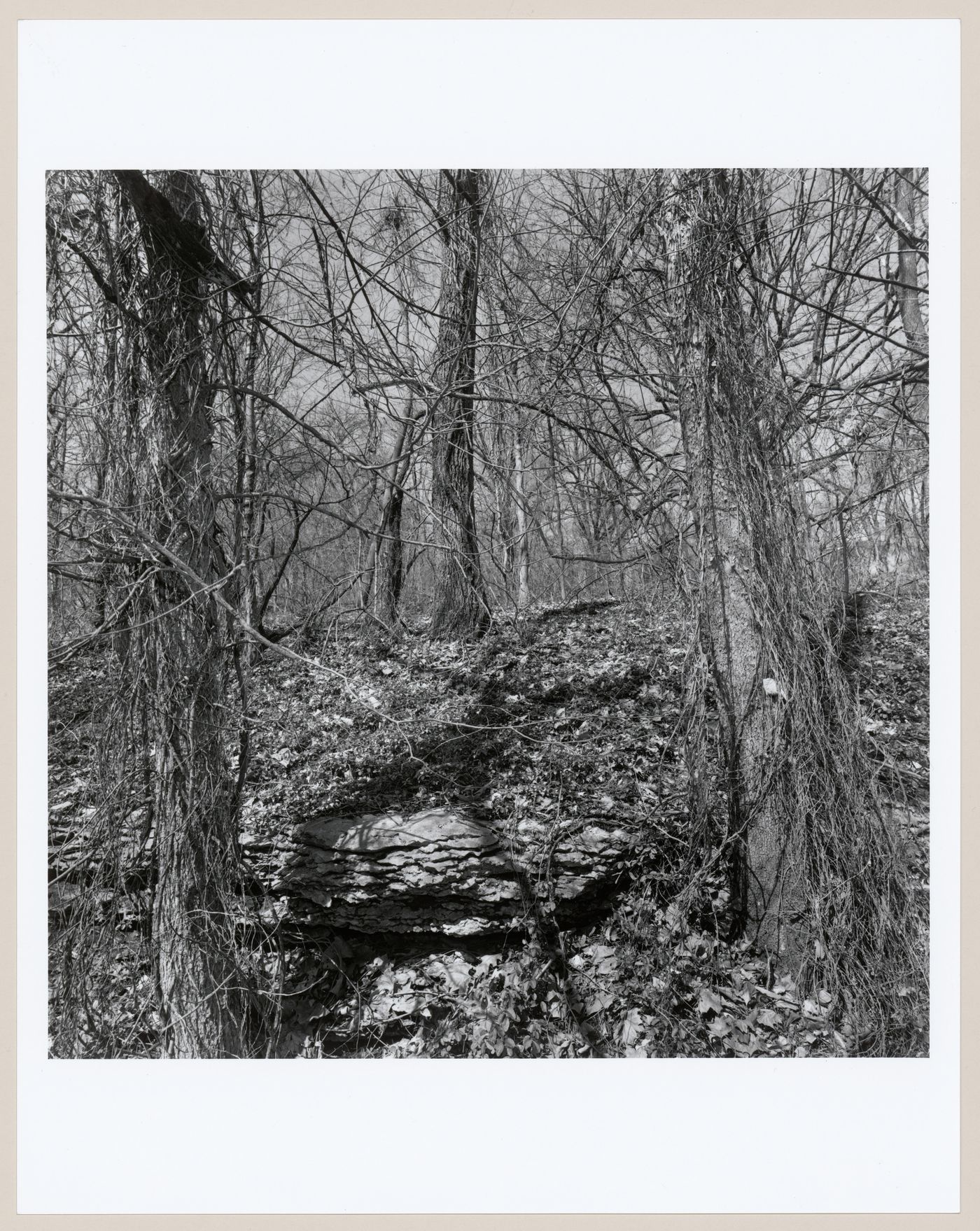 Iroquois Park, Louisville, Kentucky