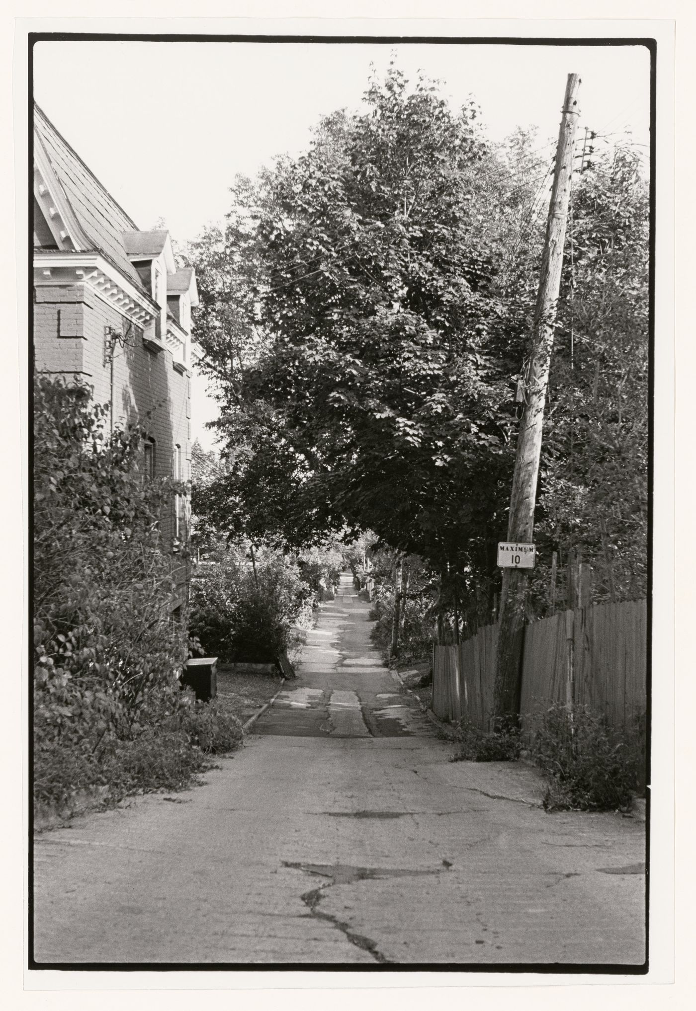 View of a pathway made by Indigenous people leading up the hill, now known as Arlington Lane, Westmount, Québec, Canada