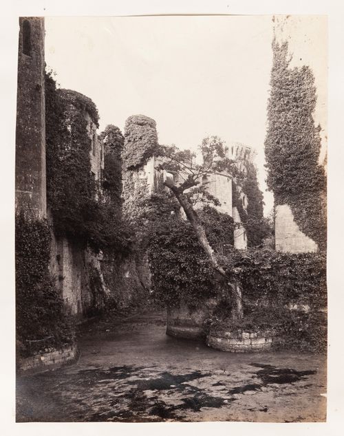 View of a path and walls overgrown with vegetation, Europe ?
