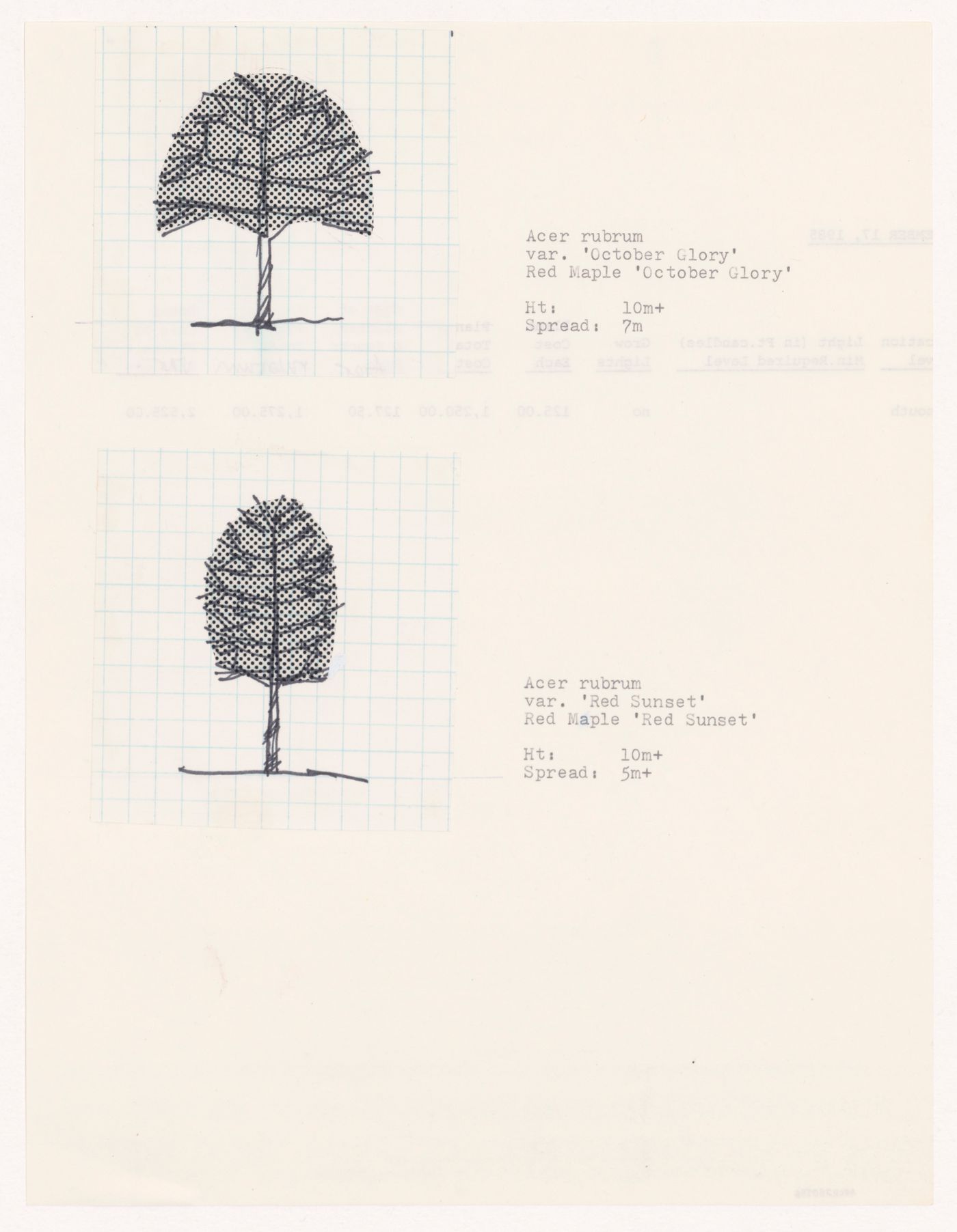 Plant specifications with illustration of specimens for National Gallery of Canada, Ottawa, Ontario