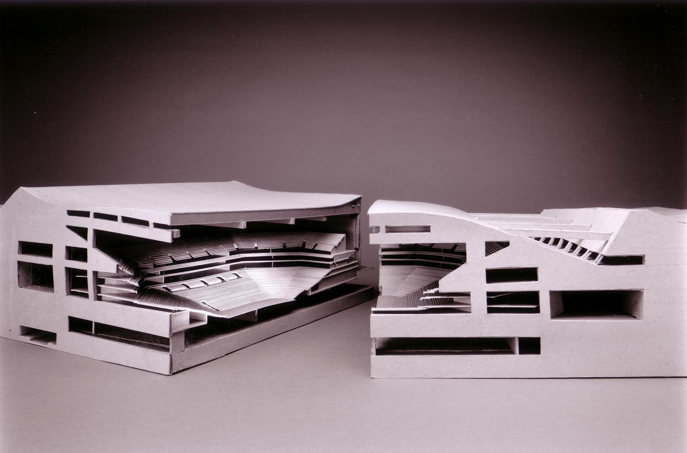 Model(s), Peter Eisenman