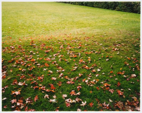 Partial view of the lawn, Baile Park, Canadian Centre for Architecture, Montréal
