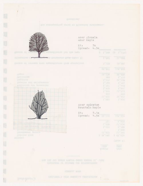 Plant specifications with illustration of specimens for National Gallery of Canada, Ottawa, Ontario