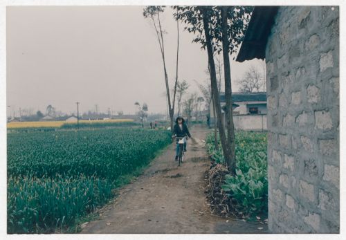 View of cultivated field and an resident on a bicycle in rural Sichuan province, China