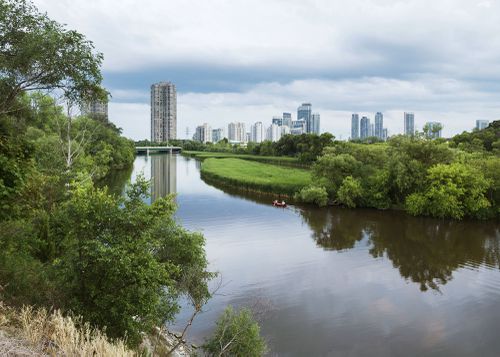 An Enduring Wilderness: Humber Marshes and South Humber Park, Toronto