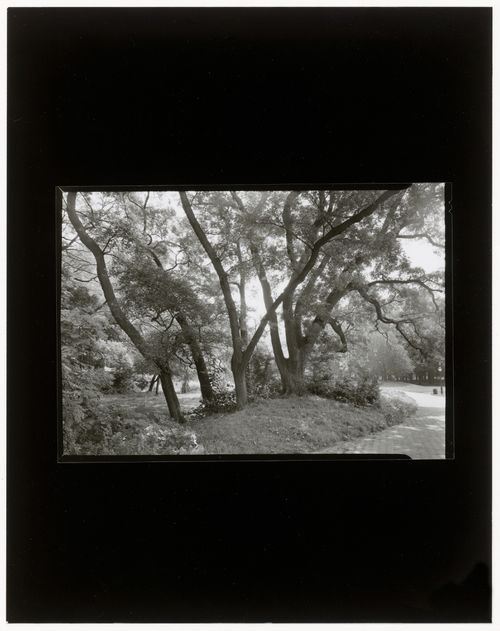 Nethermead, Prospect Park, Brooklyn, New York City, New York