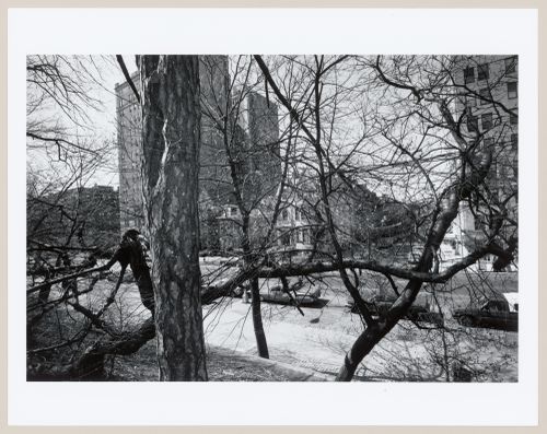 Prospect Park, Brooklyn, New York City, New York